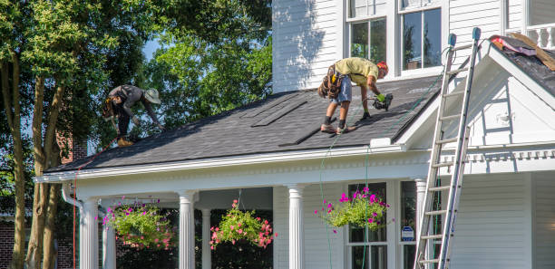 Best Roof Gutter Cleaning  in Jamestown, OH